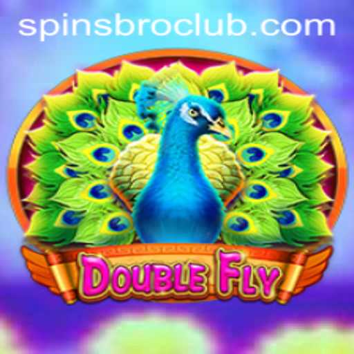 DoubleFly: The Exciting New Twist in Gaming
